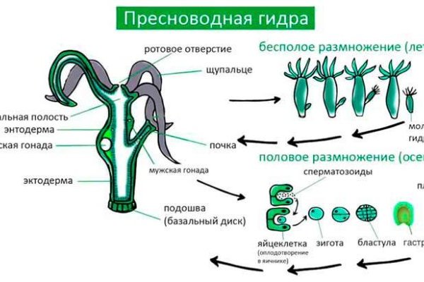 Кракен тор что это