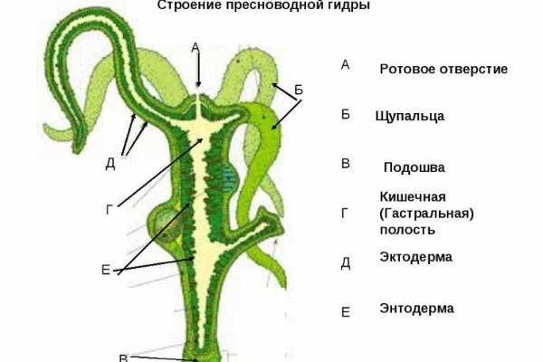 Кракен черный сайт