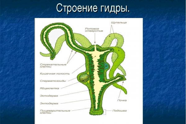 Кракен дарк шоп