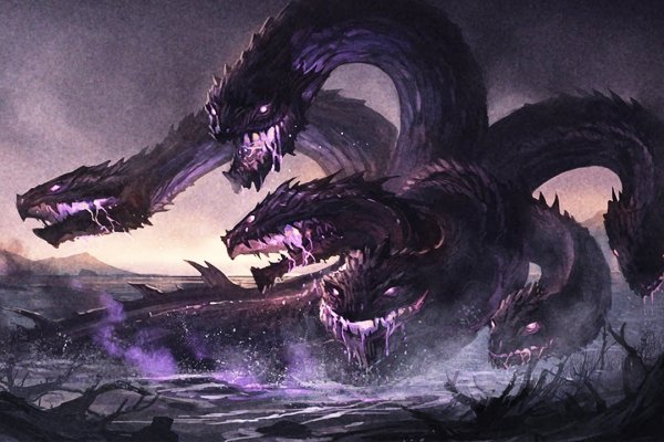 Kraken 24 at