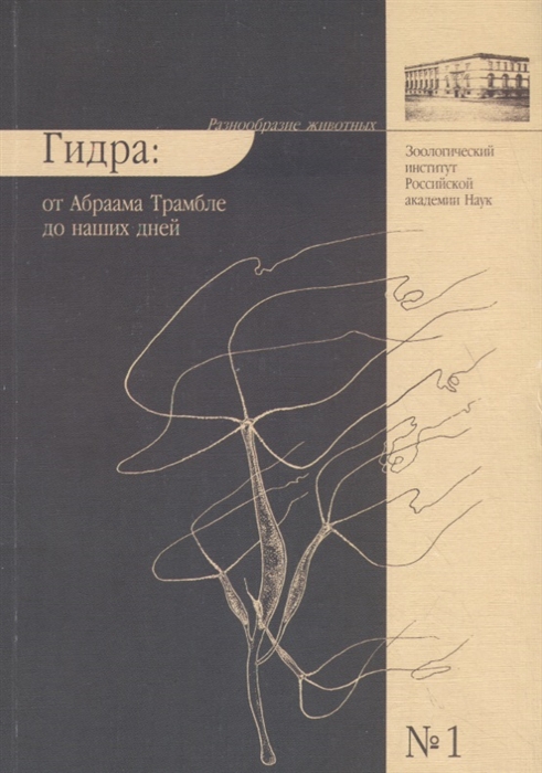 Кракен что это за маркетплейс