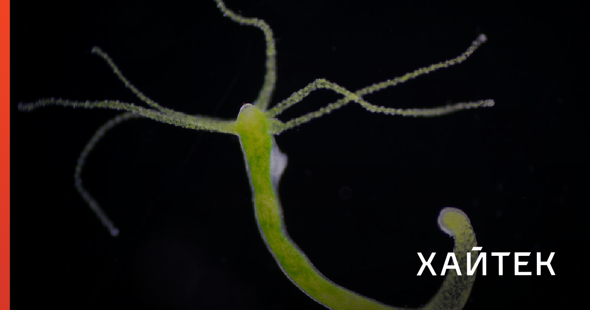Kraken 2krn