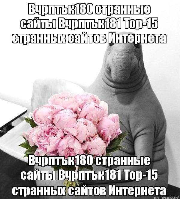 Кракен маркетплейс москва видео