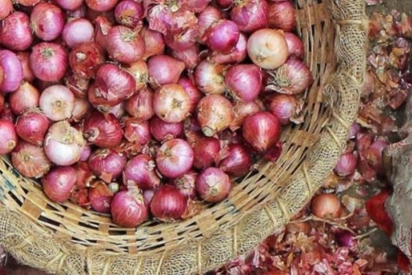Наркотики заказать