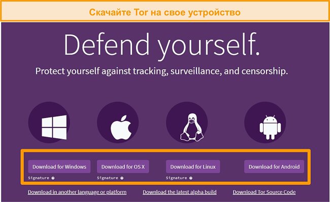 Kraken как найти ссылку