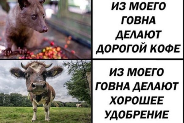 Kraken зеркала gigageek ru