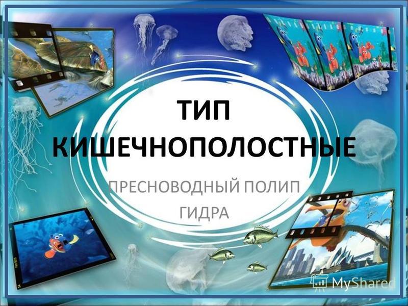 Kraken актуальное